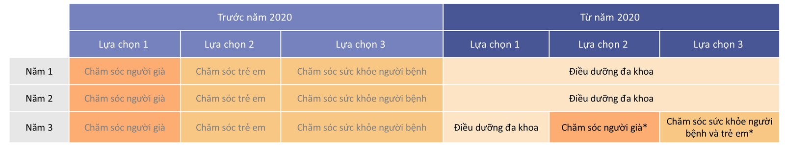 Chương trình nghề điều dưỡng